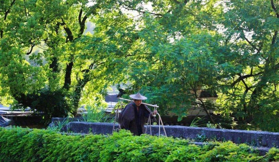 平衡宇宙