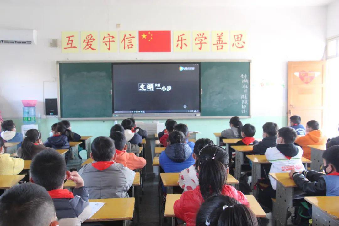 拯救毛茸茸男人