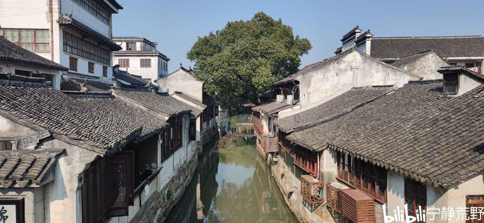 独狼逃跑